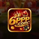 6PPP